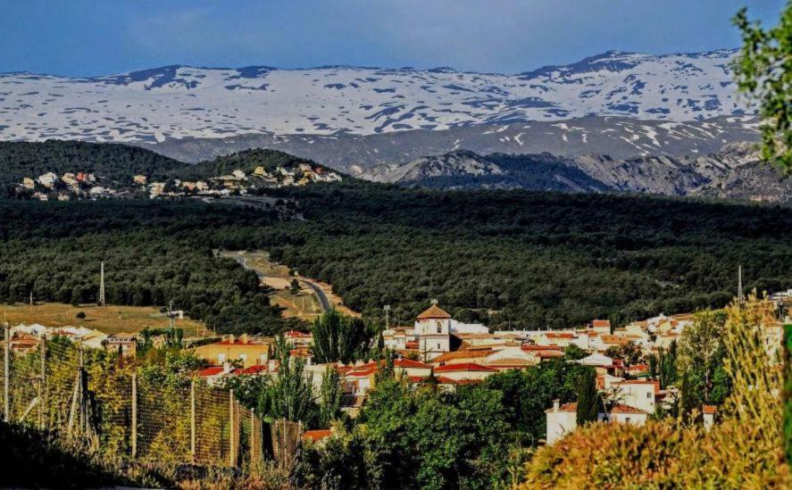 Apartamento Con Encanto En Granada, La Zubia Kültér fotó